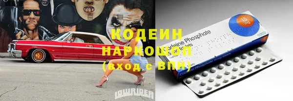 крисы Абаза