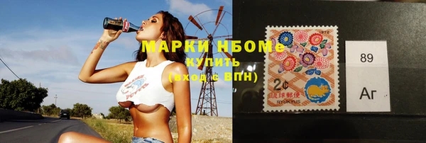 крисы Абаза