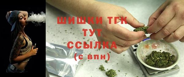 крисы Абаза