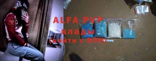 крисы Абаза