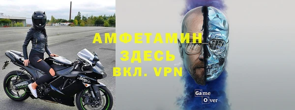крисы Абаза
