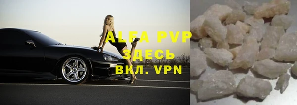 крисы Абаза