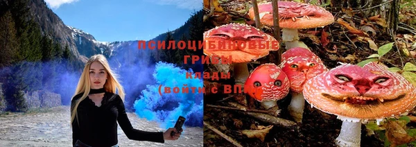 кокс Михайловск