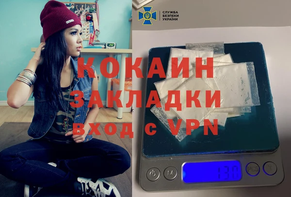 крисы Абаза