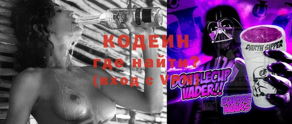 крисы Абаза
